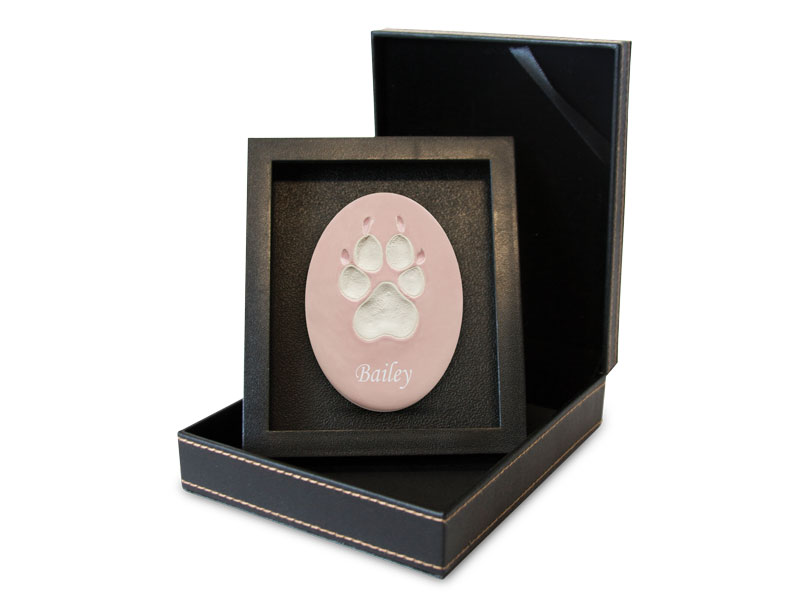 Lasting Paws Vibrant Collection